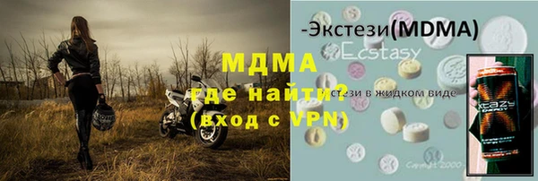 гашик Алексин