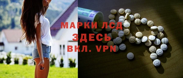 гашик Алексин