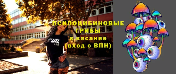 соль курить ск Михайлов