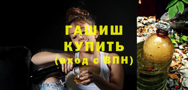 гашик Алексин