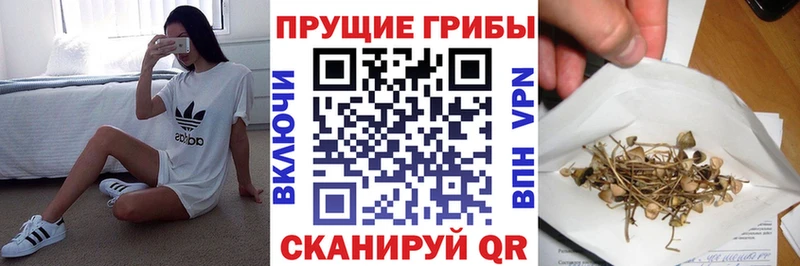 наркота  Сухиничи  мега зеркало  Псилоцибиновые грибы Psilocybe 